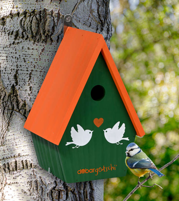 dobar Nistkasten dobargotschi